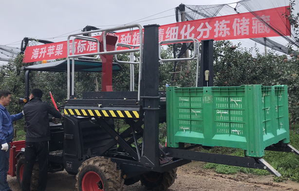 在线免费看片,在线免费看片厂家
