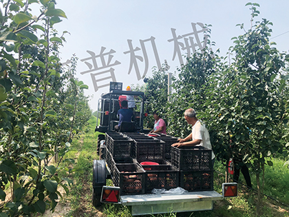 91看片免费视频免费版下载