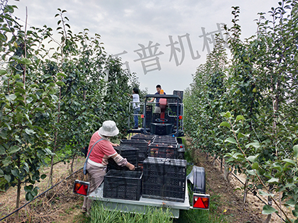 91看片免费视频免费版下载