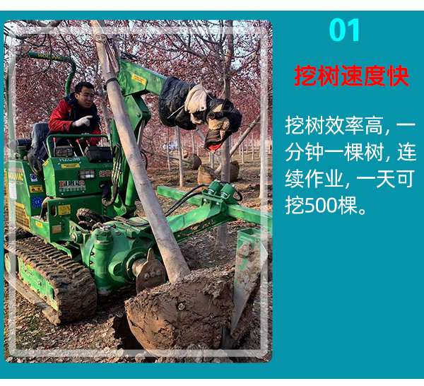 在线免费看片