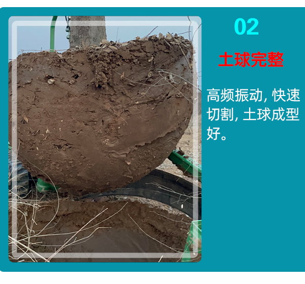 在线免费看片
