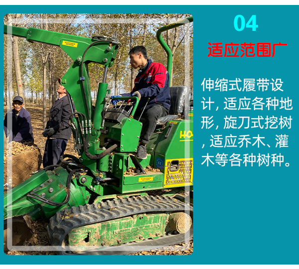 在线免费看片