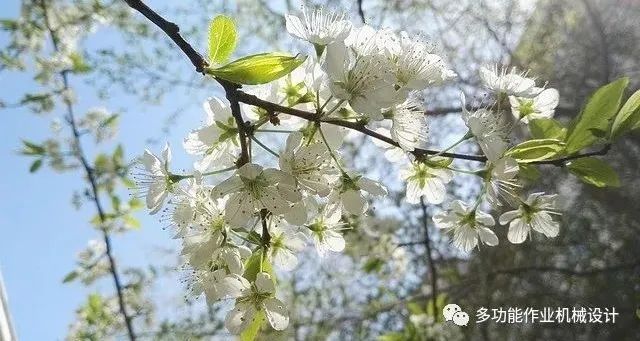 多功能果园作业平台--果园管理的好搭档！