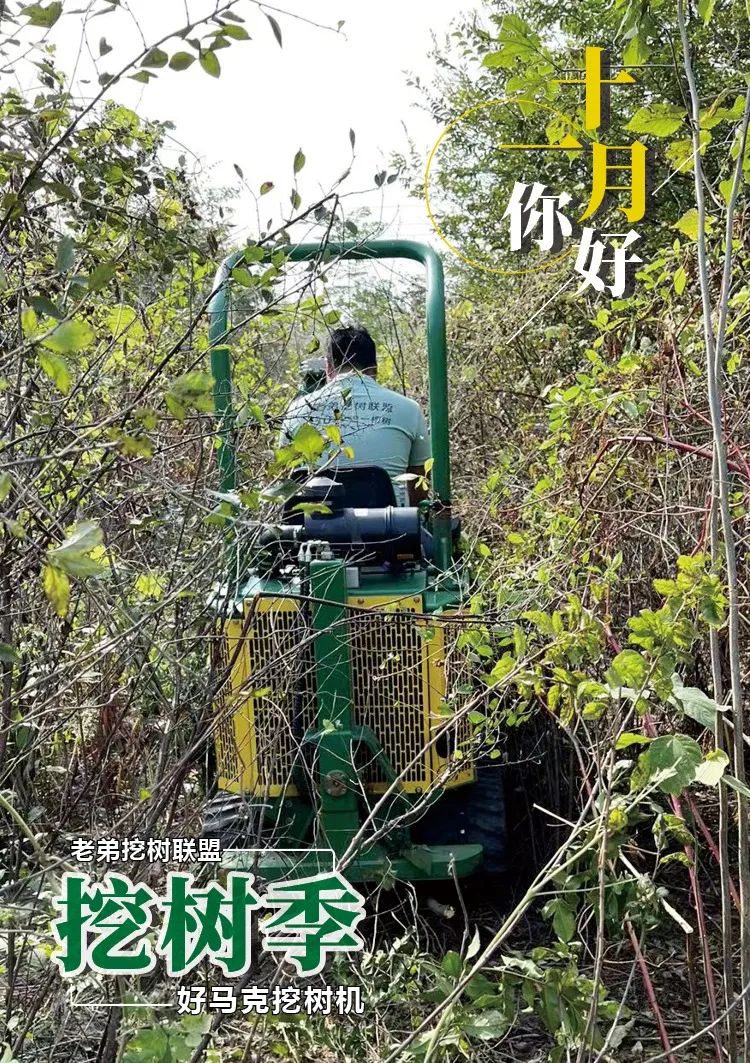 1668241899118155.jpg 微信图片_20221112135018.jpg