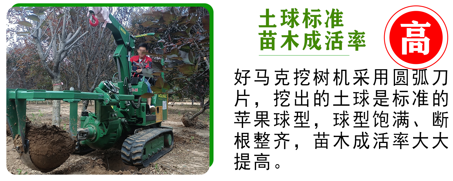 好马克在线免费看片