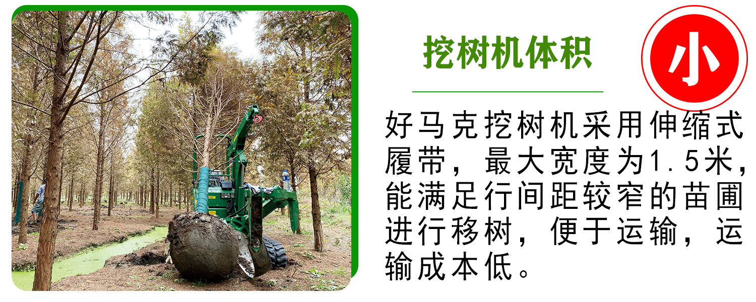 好马克在线免费看片