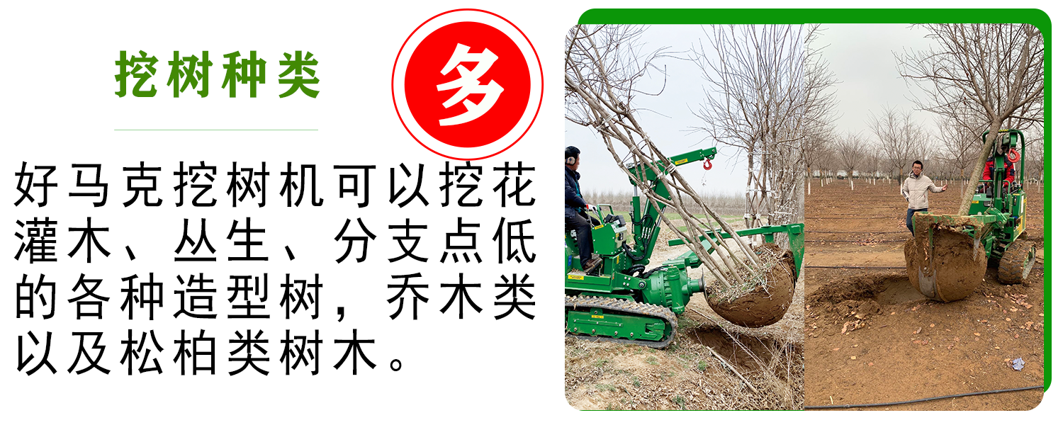 好马克在线免费看片