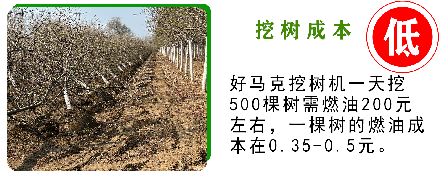 好马克在线免费看片