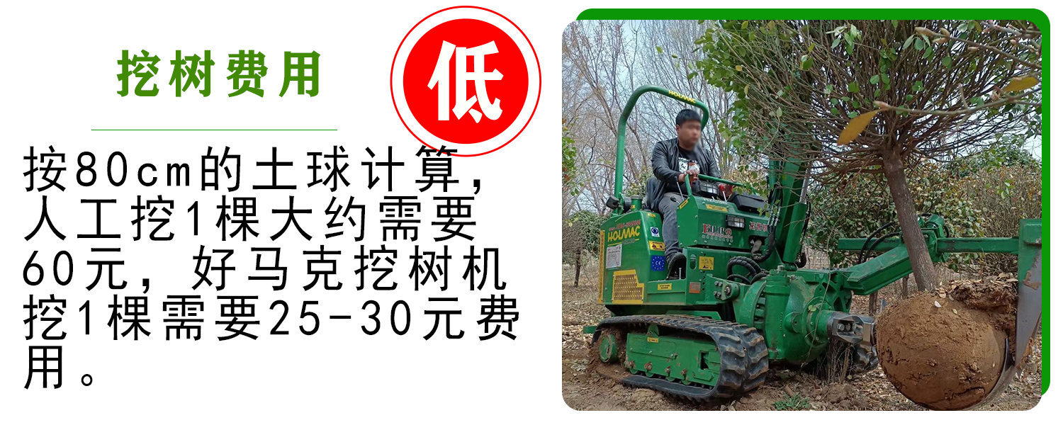 好马克在线免费看片