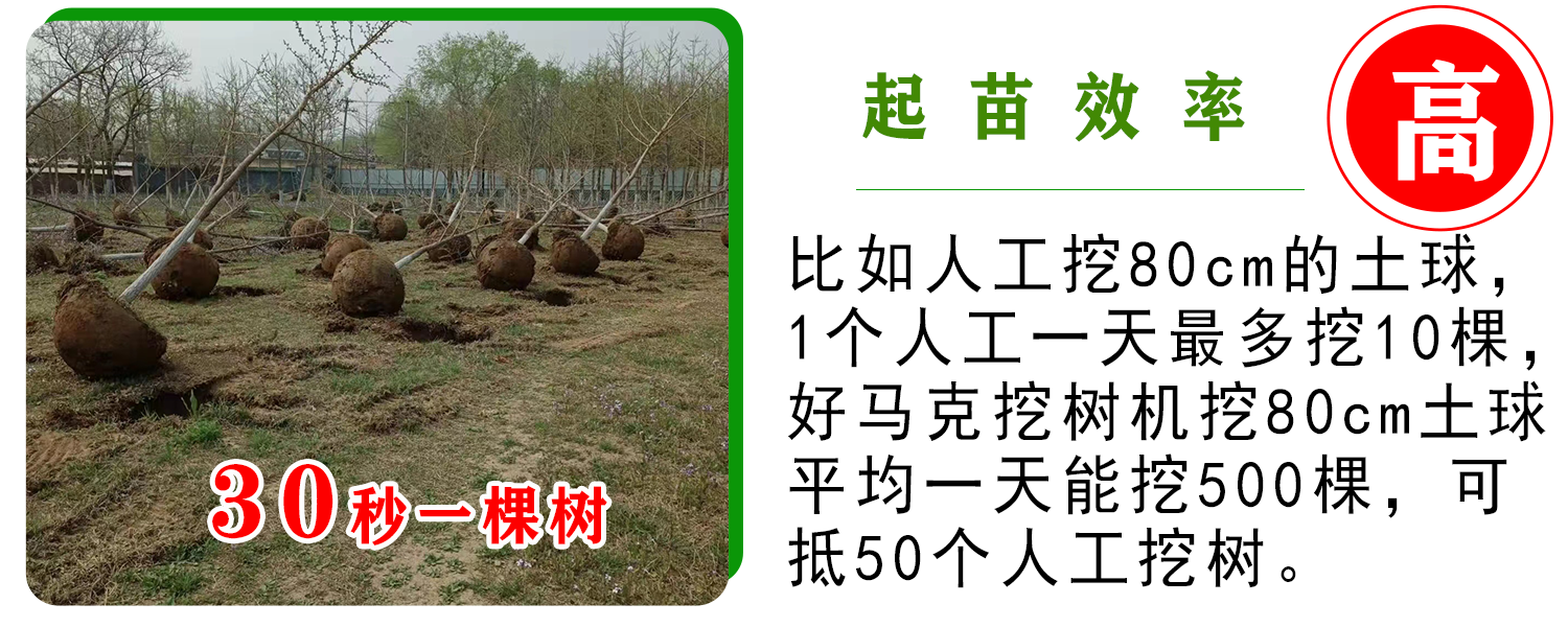 好马克在线免费看片
