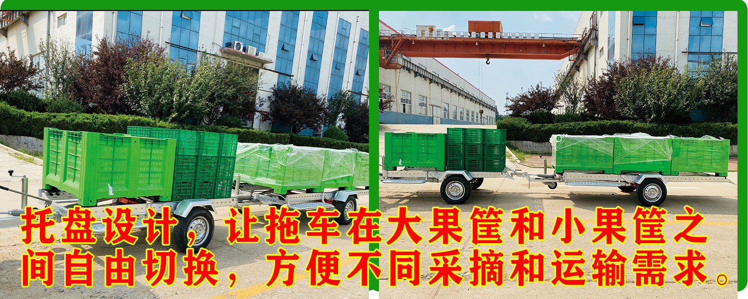 果园运输91看片免费视频免费版下载