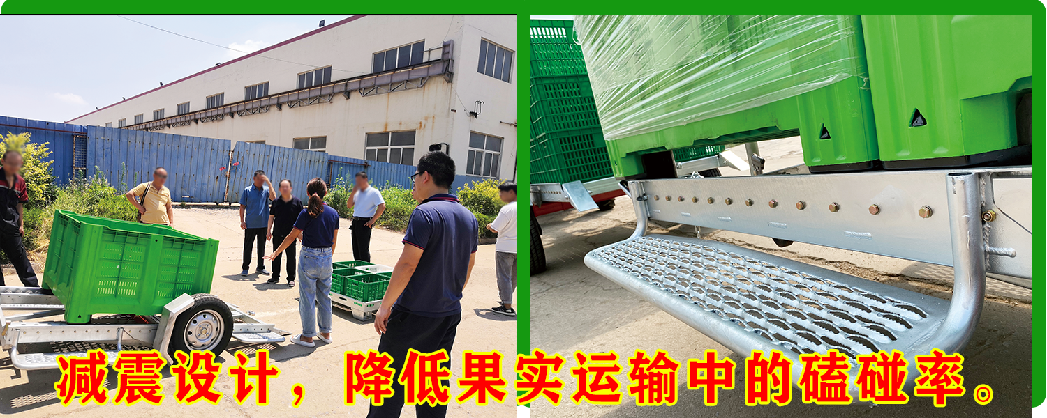 果园运输91看片免费视频免费版下载