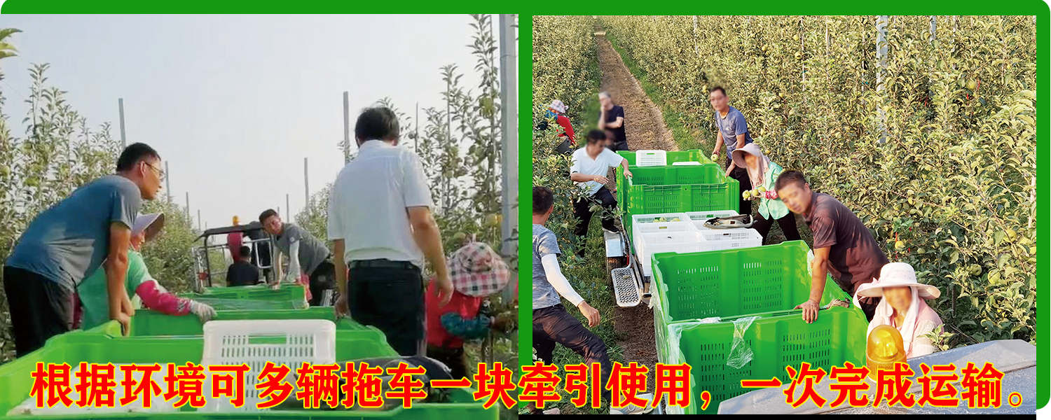 果园运输91看片免费视频免费版下载