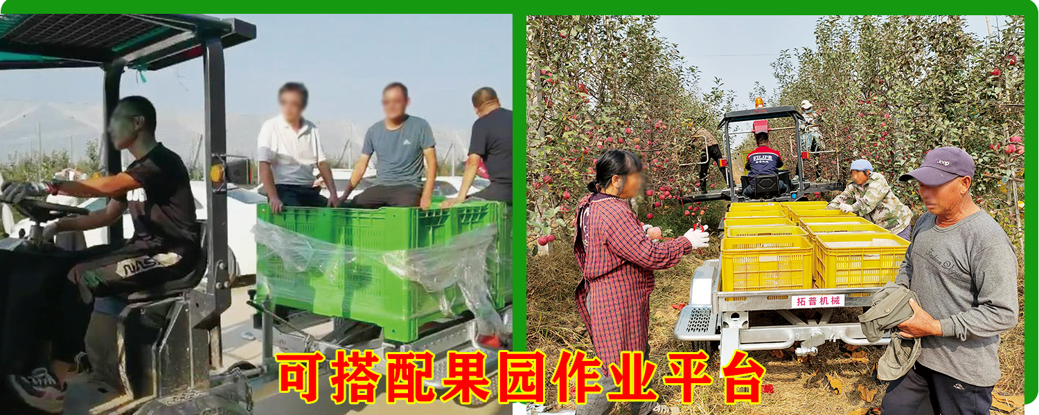 果园运输91看片免费视频免费版下载