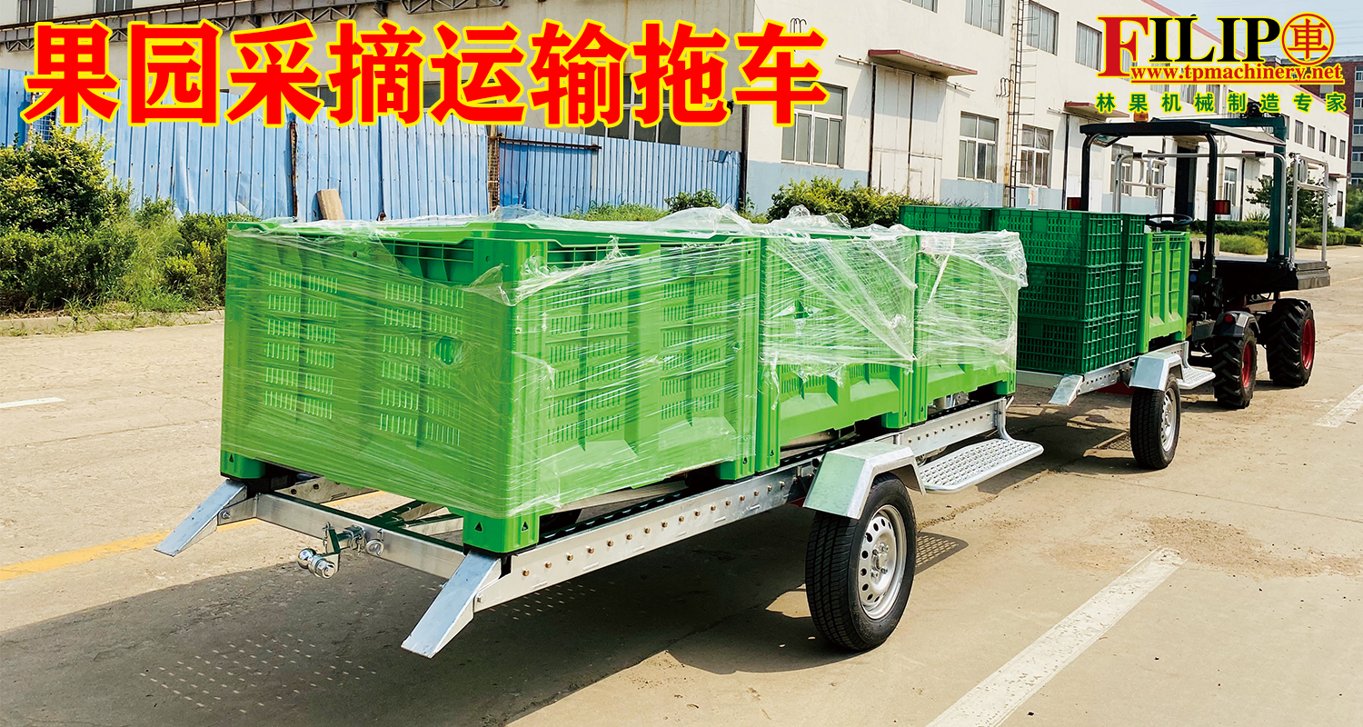 果园运输91看片免费视频免费版下载
