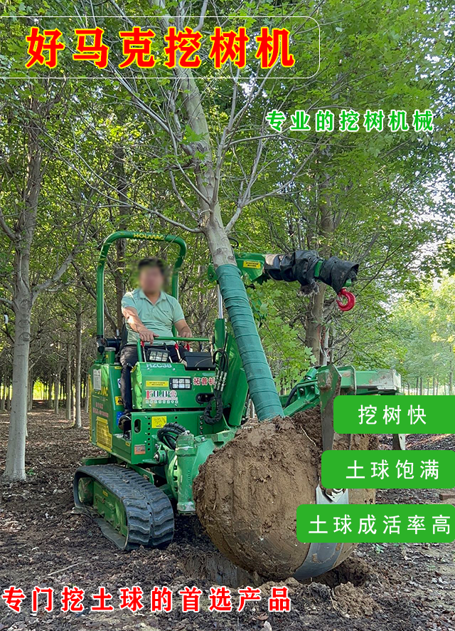 在线免费看片 1.png