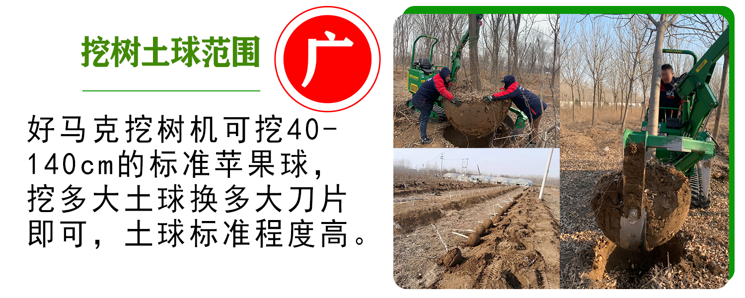 范围广 1.png