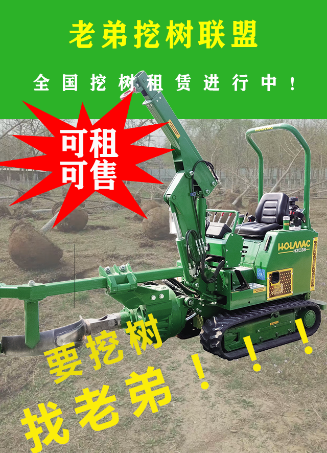 在线免费看片2.png