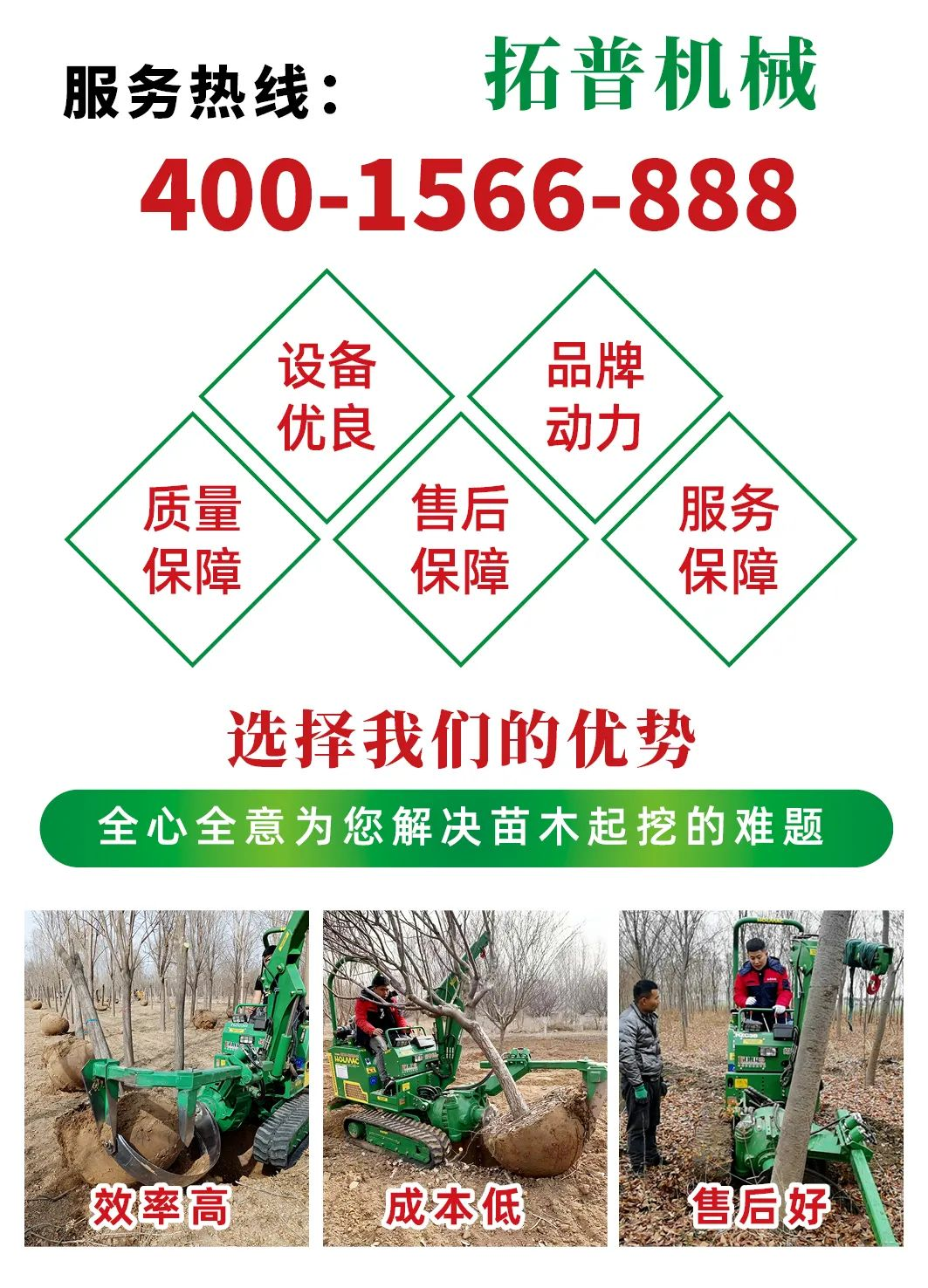 65ac6b7a30fdaaea66840b2aa342169.png